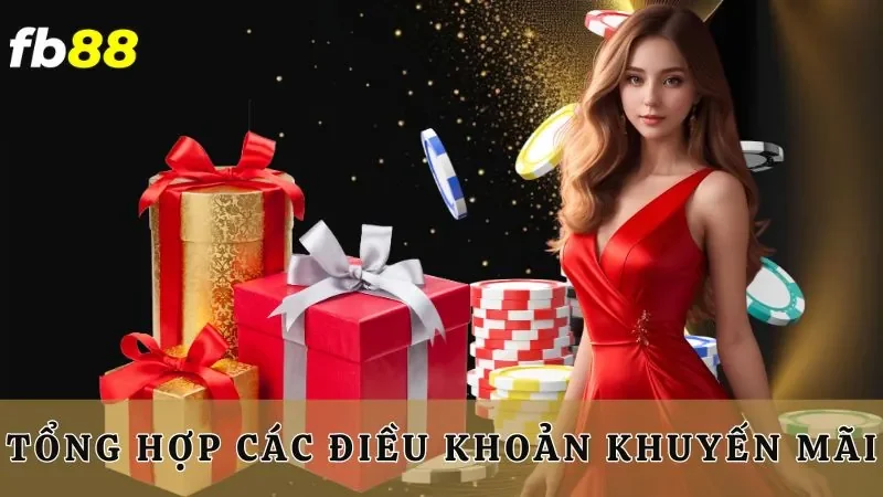 Tổng hợp các điều khoản khuyến mãi