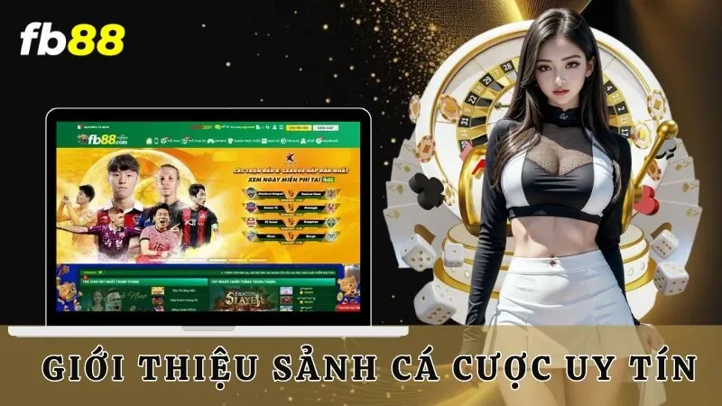 Giới thiệu sảnh cá cược uy tín