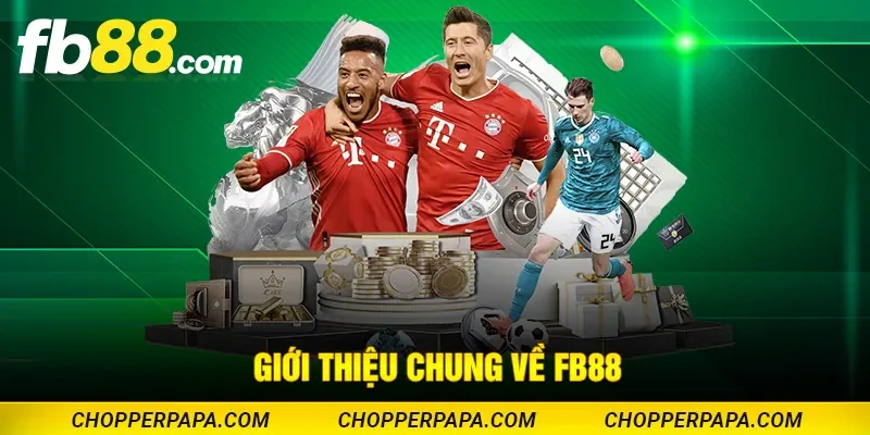 Giới thiệu tổng quan thương hiệu FB88